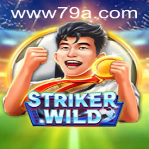 Explorando o Universo de StrikerWILD